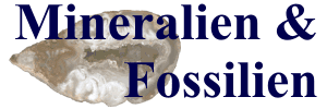 Mineralien & Fossilien